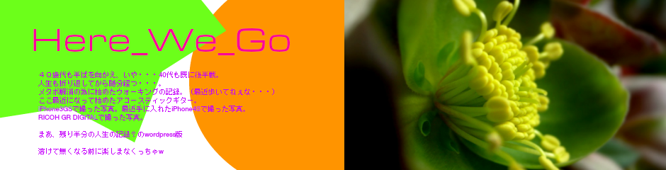 ベランダに隠し持っているクリスマスローズ