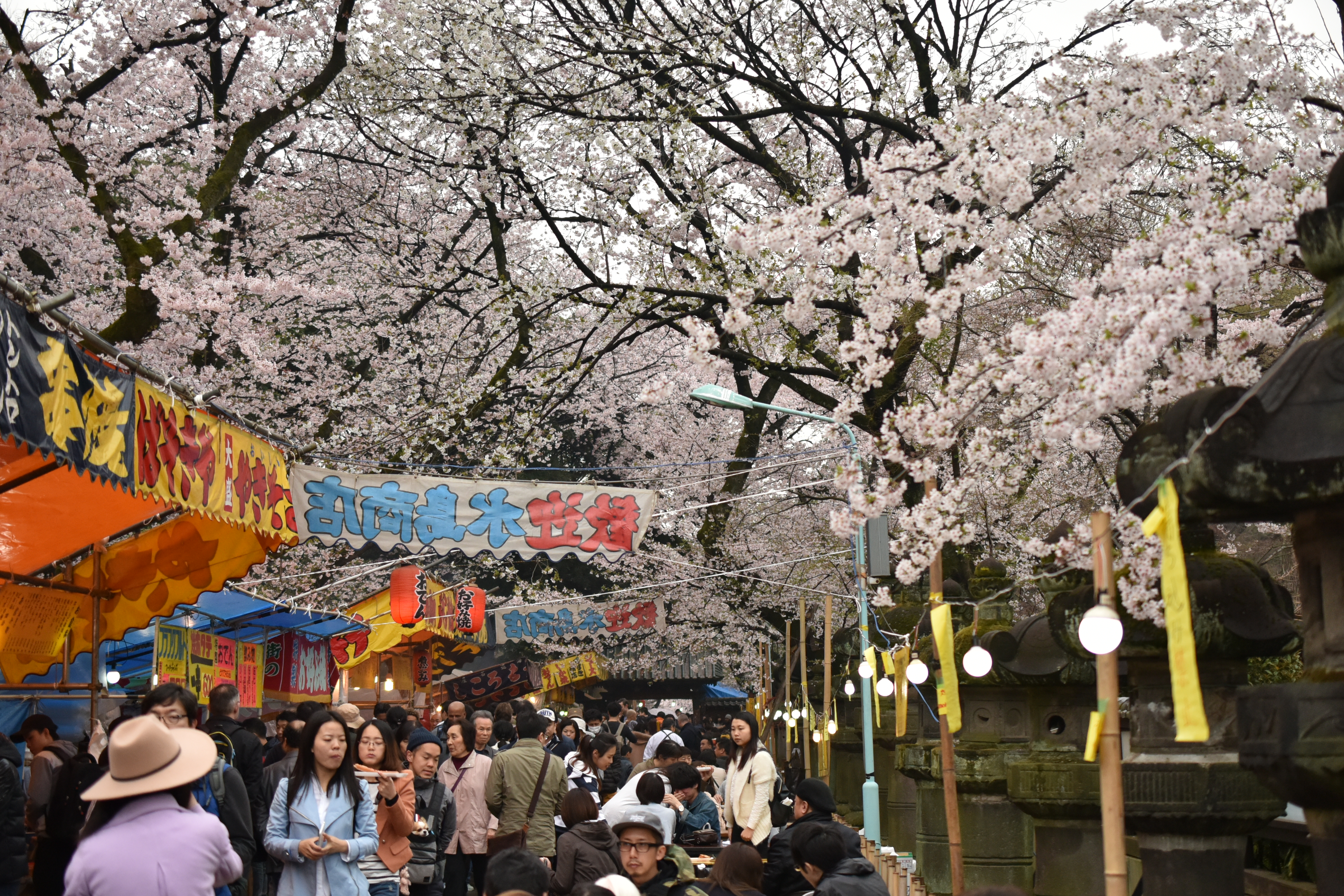 国営ひたち海浜公園