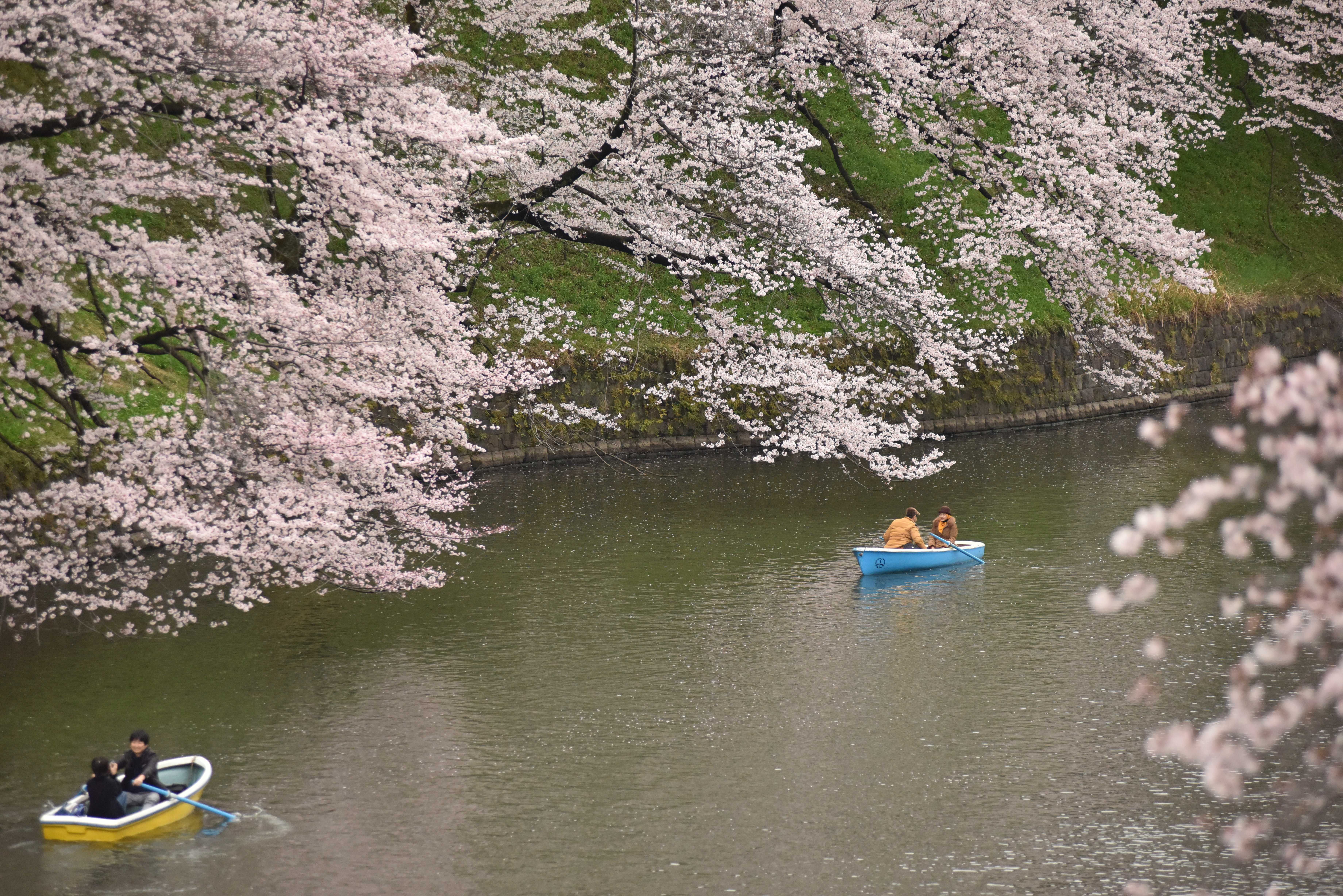大田区平和都市宣言記念事業「花火の祭典」